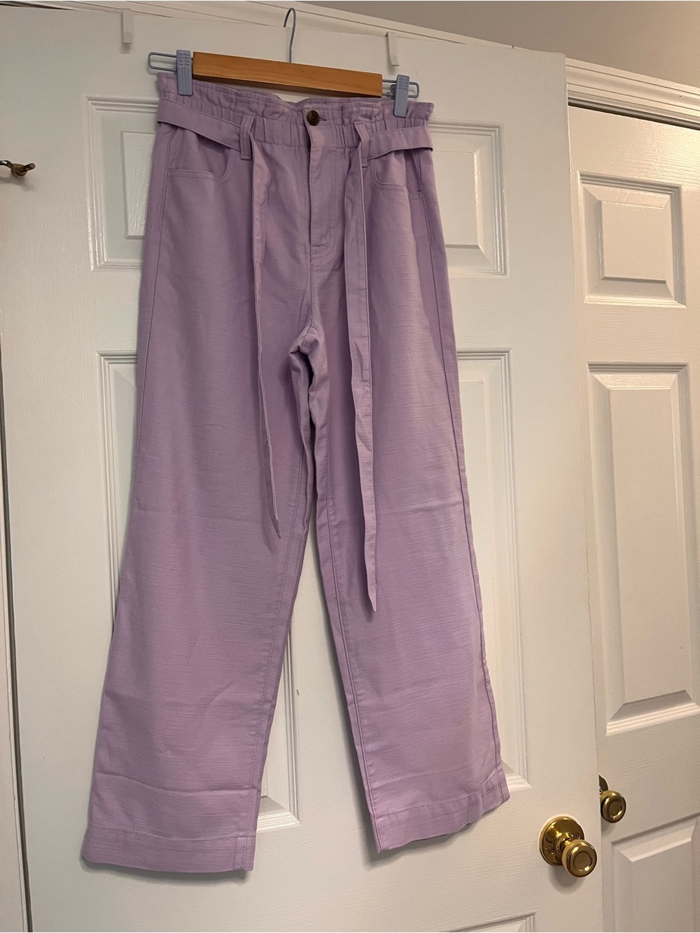 J. Crew Lilac Pants size P2